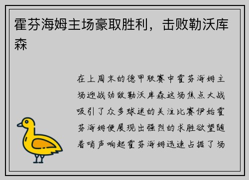 霍芬海姆主场豪取胜利，击败勒沃库森